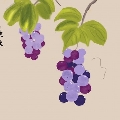 價錢肯定