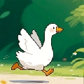乖鹅鹅