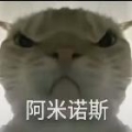 RASH-楠枝