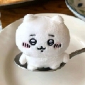 馥梦花