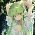 鸽酱uwu