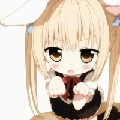 遇见小猫