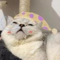 世界第一宠rou