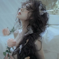 小狐狸新人唱歌