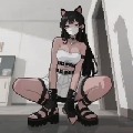 今天想喜猫了mua