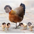 莽夫日记