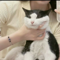 王琳儿u