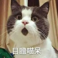 Fzck影魔