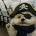 矼海