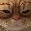 小盐香香ovo