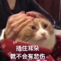 东辰-解构
