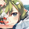 盈月姑娘