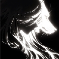 宝狸、