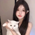 小星又来咯