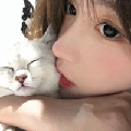 羊小羊-