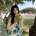 小椰芝
