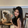 偷心猪儿