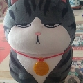 人才大炮