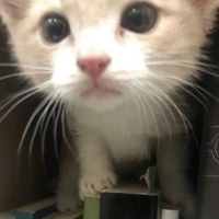 诗晴大王万万岁