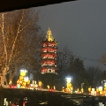 飞飞飞阿飞飞