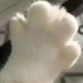 简慕.
