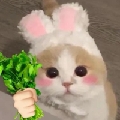 香菜up