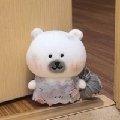 s沙糖桔