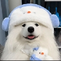 海蓝似心