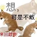 Tzyy灼灼其华