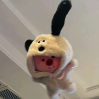 土豆不打伞哈哈哈