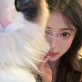 知知Uu