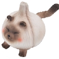 林梦迪a
