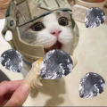 筱磊c