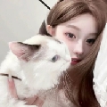 土豆小霸王z