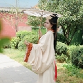 洛伊、