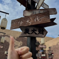 玫瑰收场