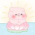奶球冰冰