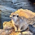 QS你不懂