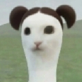 有时候呆