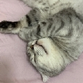 小小奕o