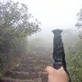 小鱼会游又会飞