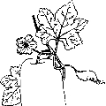 公众号是张冬瓜