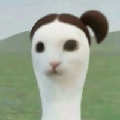 小小kk降临