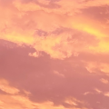 1314jssj