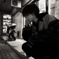 观风摇