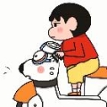 十两枫