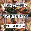 王者荣耀圆梦大使