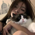 豆鲨包0O