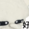 喂鱼亖亖