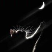 祥安石业李晨建